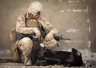 Illustration for article titled The 7 Most Badass Photos CENTCOM Has Pinned on Pinterest
